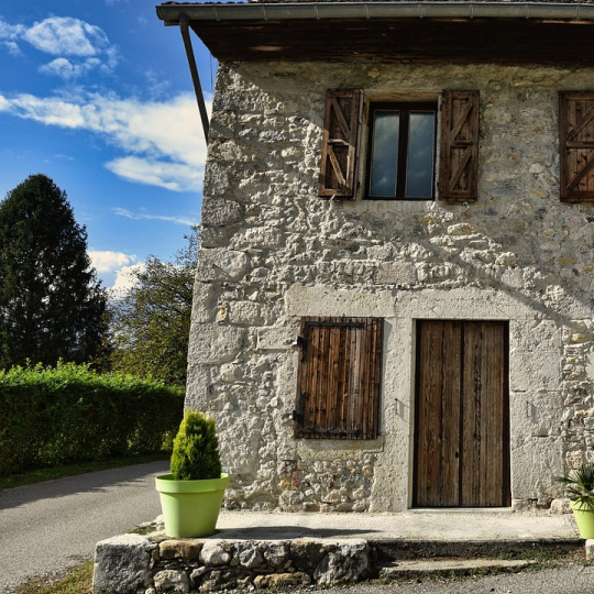 house renovation flip